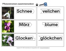 Pflanzennamen-zusammensetzen.pdf